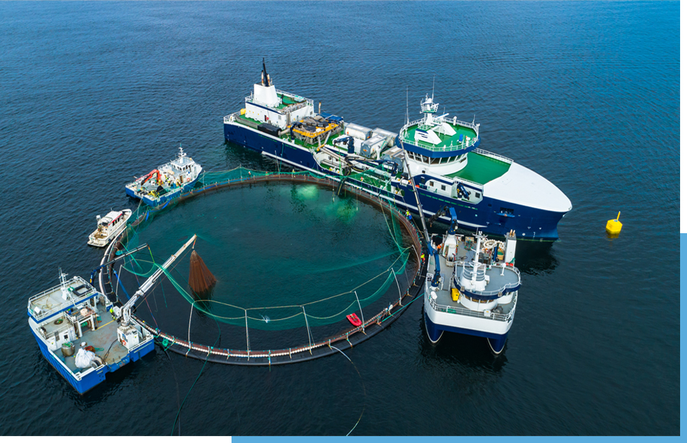 Aquaculture and Agriculture